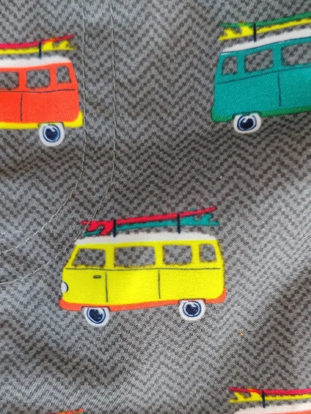 Cat & Jack Gray Swim Trunks with Multicolor Vans and Orange Drawstring